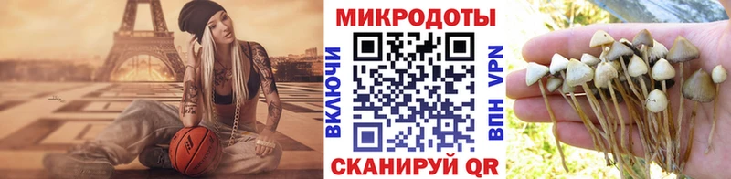 МЕГА ТОР  Воскресенск  Галлюциногенные грибы Psilocybine cubensis 